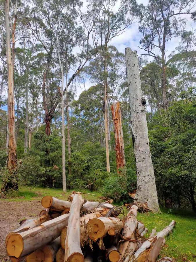 Lakes Entrance Log Cabins מראה חיצוני תמונה