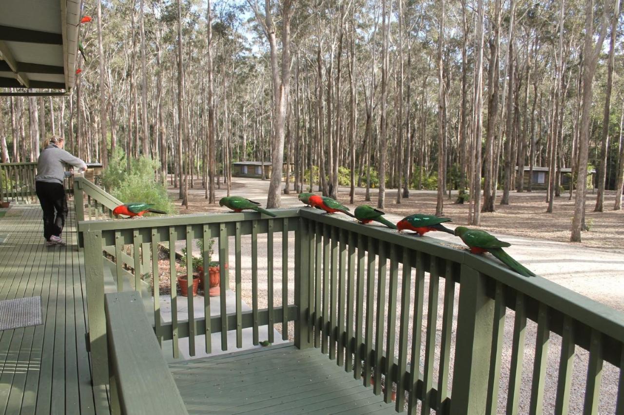 Lakes Entrance Log Cabins מראה חיצוני תמונה